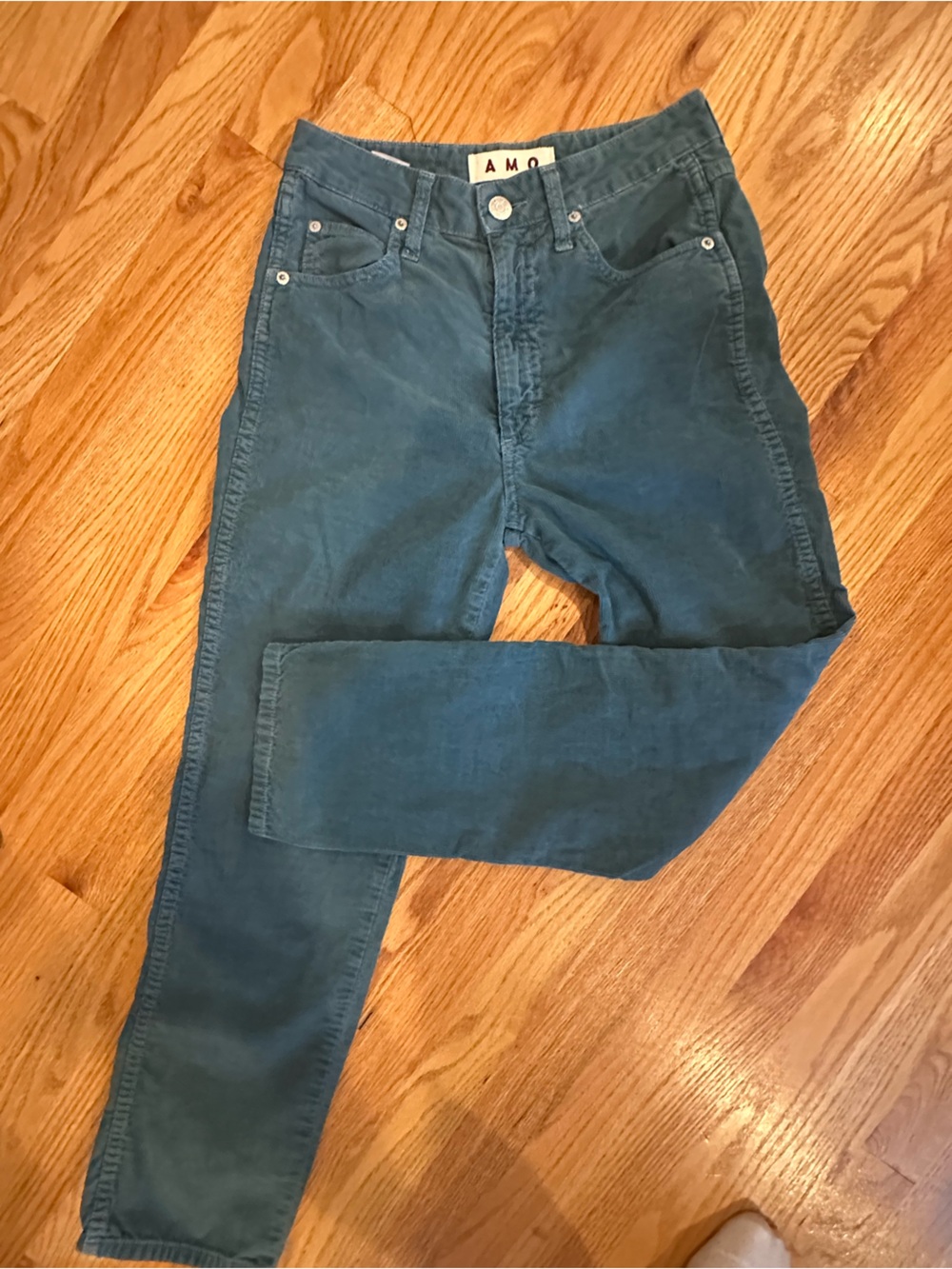 AMO Teal Skinny Women’s Jeans